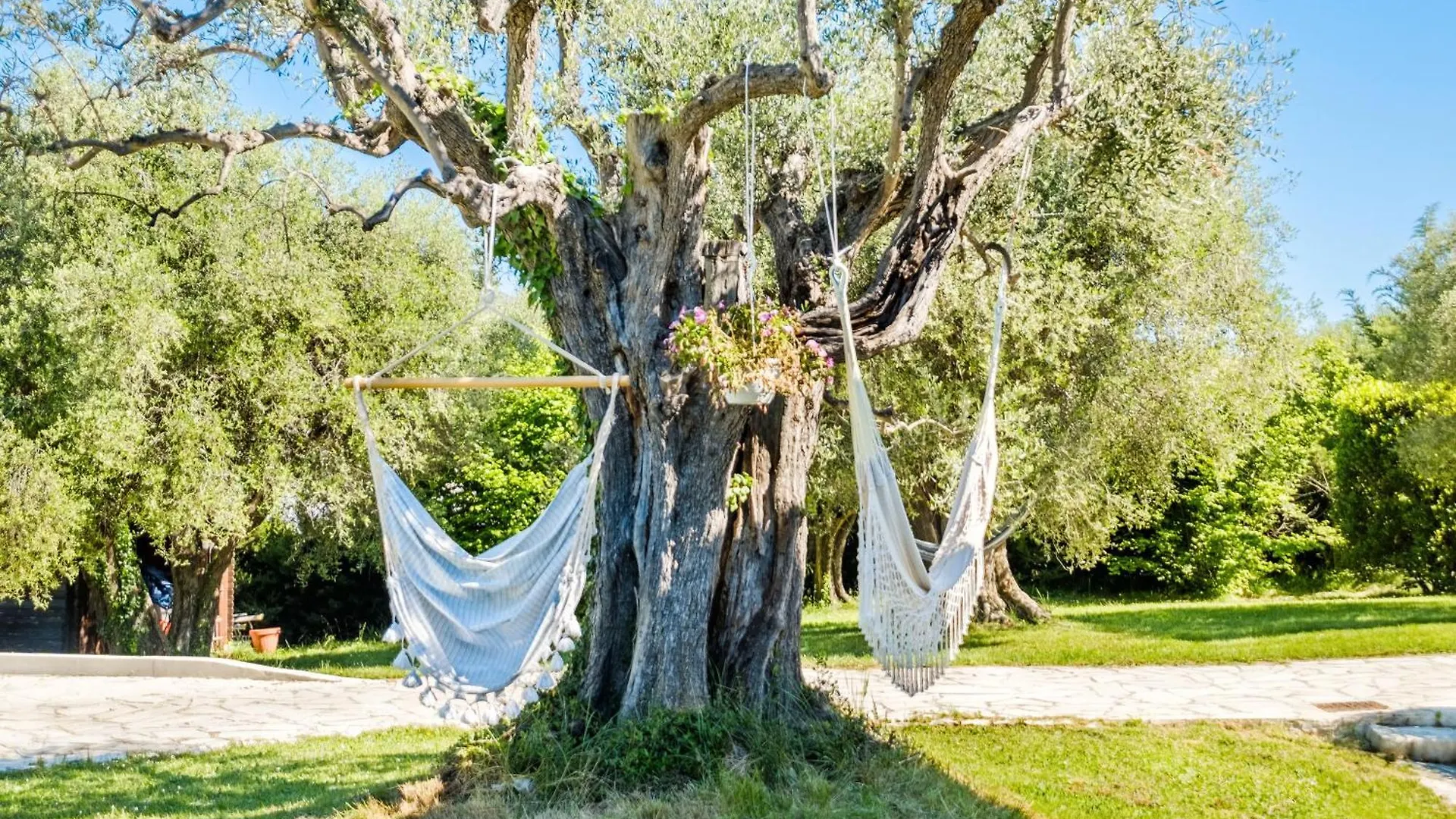 Magnifique Appartement - Mas Serens La Gaude 0*,  France